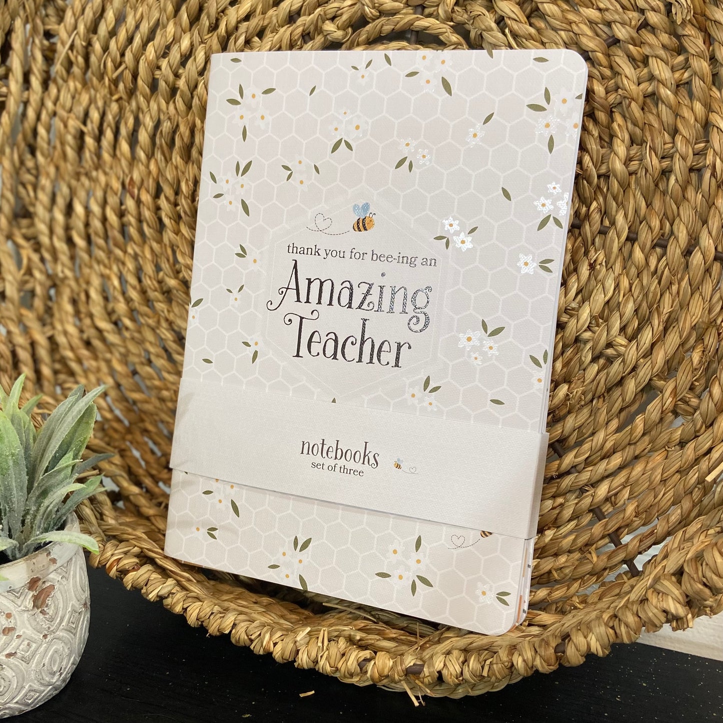 Amazing Teacher Notebook Set