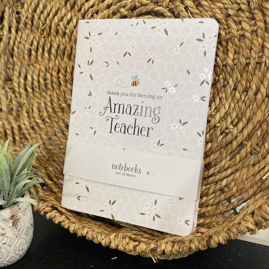 Amazing Teacher Notebook Set