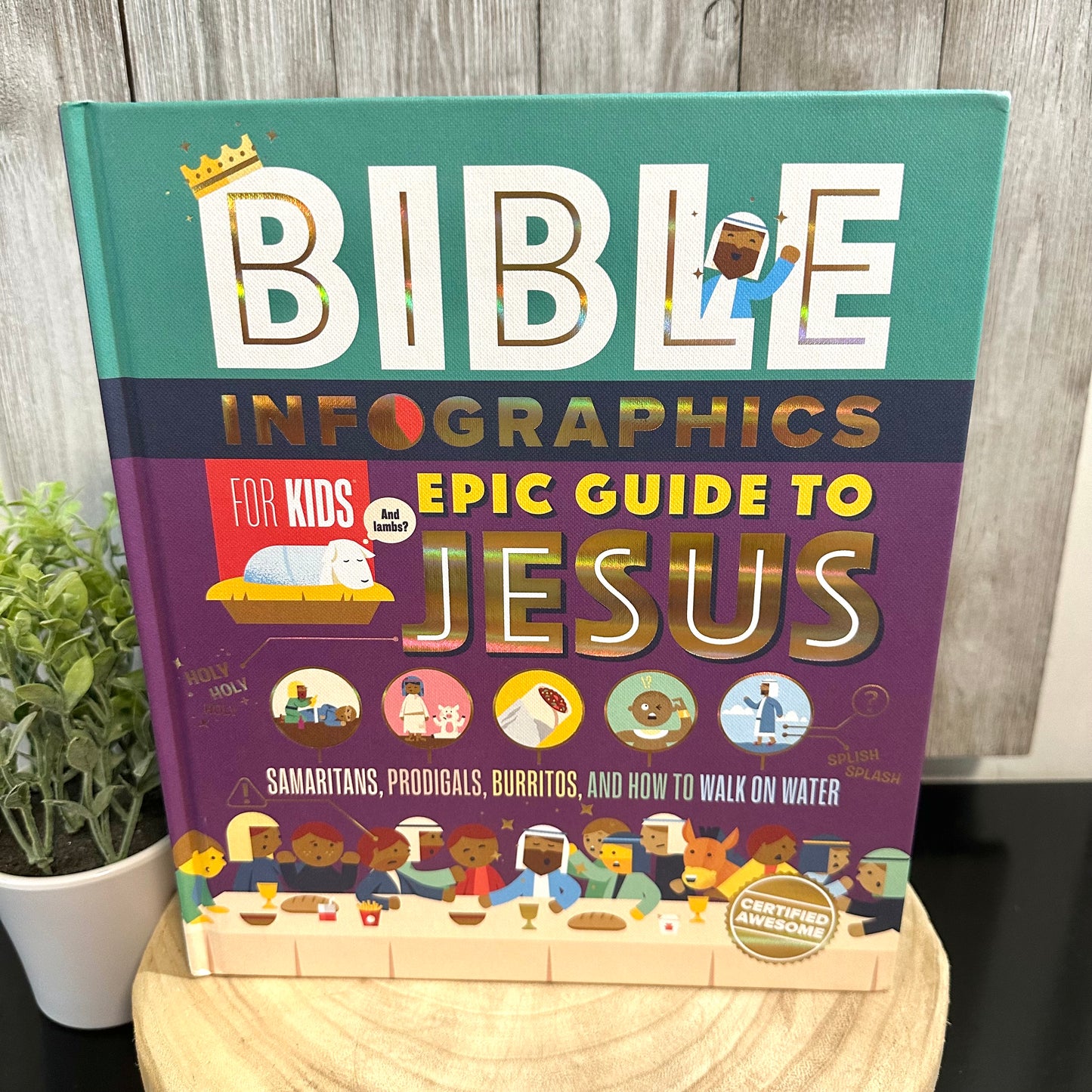 Kids Epic Guide to Jesus