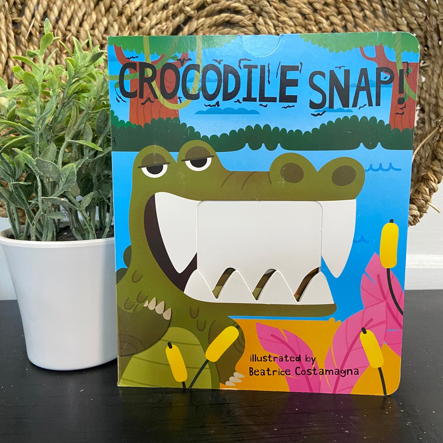 Crocodile Snap!