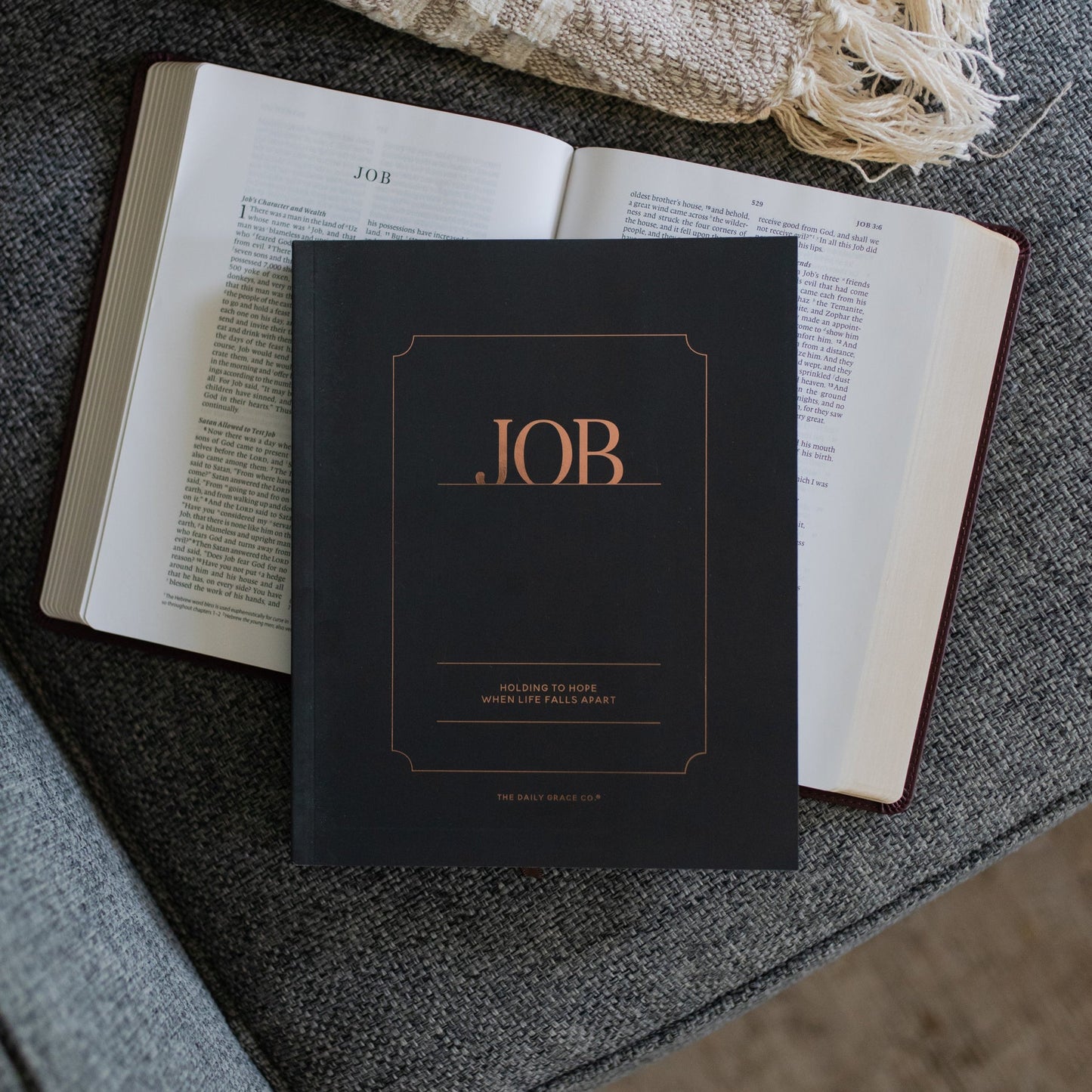 Job: Holding Hope Bible Study