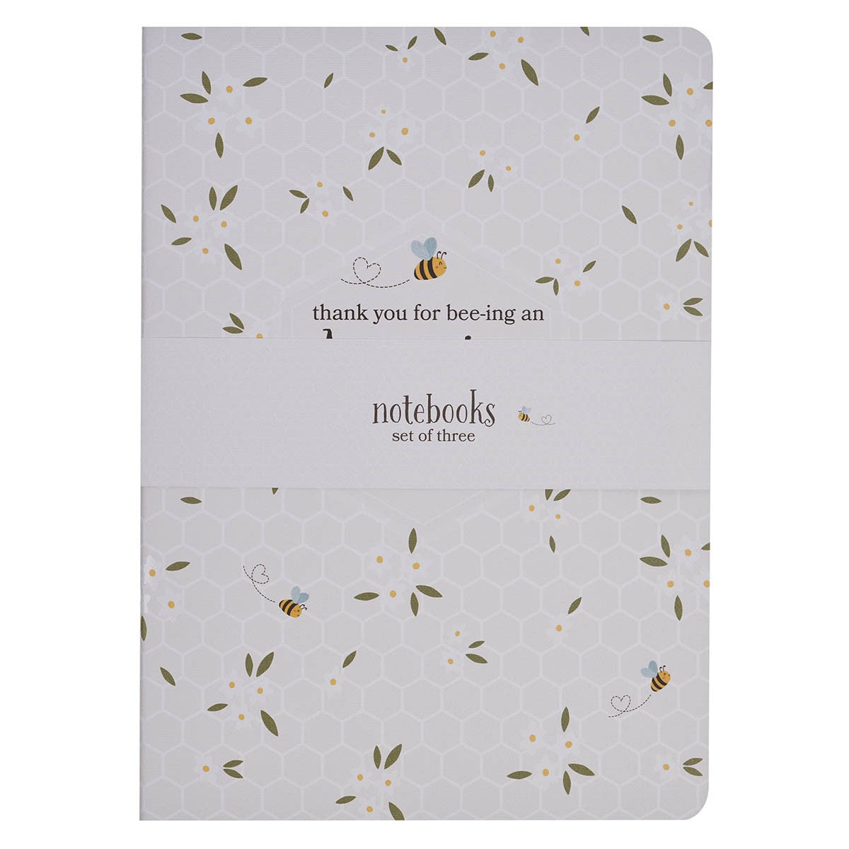 Amazing Teacher Notebook Set