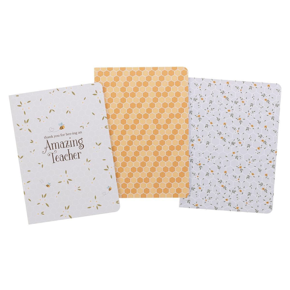 Amazing Teacher Notebook Set