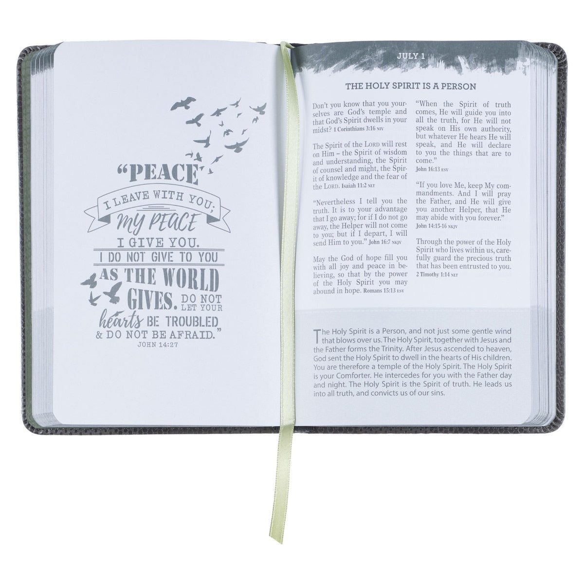 The Pocket Bible Devotional for Guys