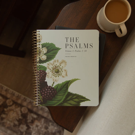 The Psalms Bible Study - Volume 1
