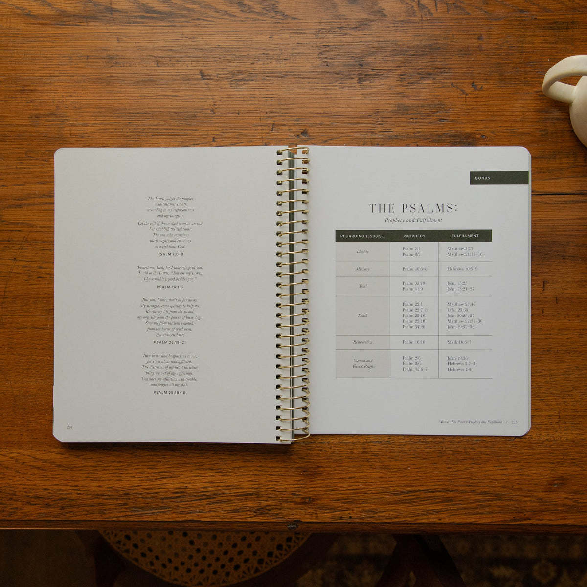 The Psalms Bible Study - Volume 1