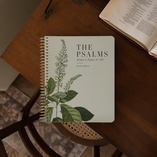The Psalms Bible Study - Volume 2