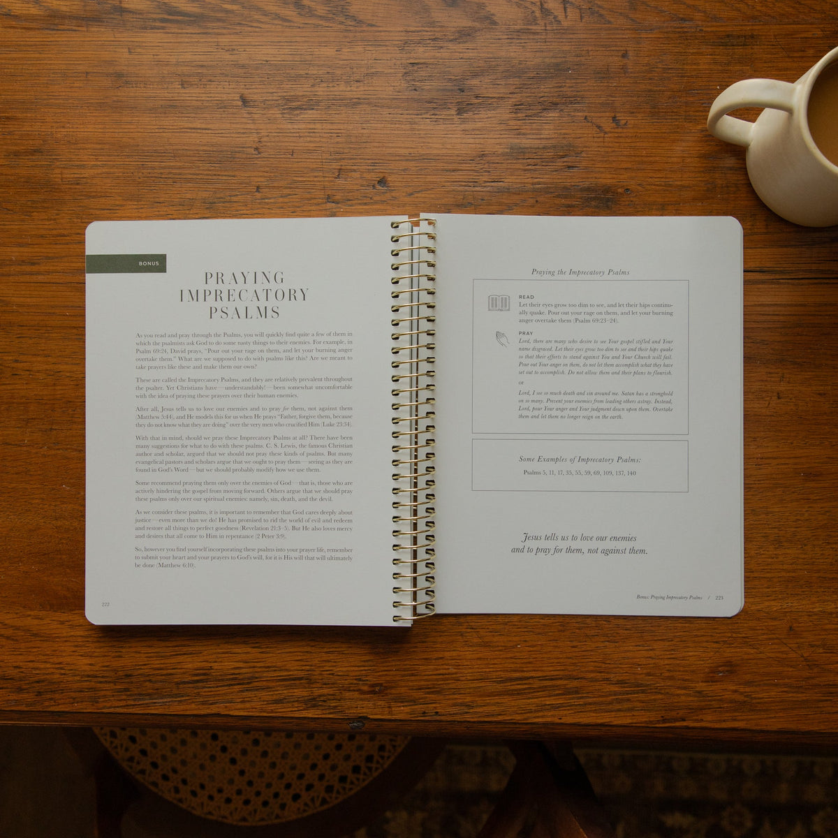 The Psalms Bible Study - Volume 2
