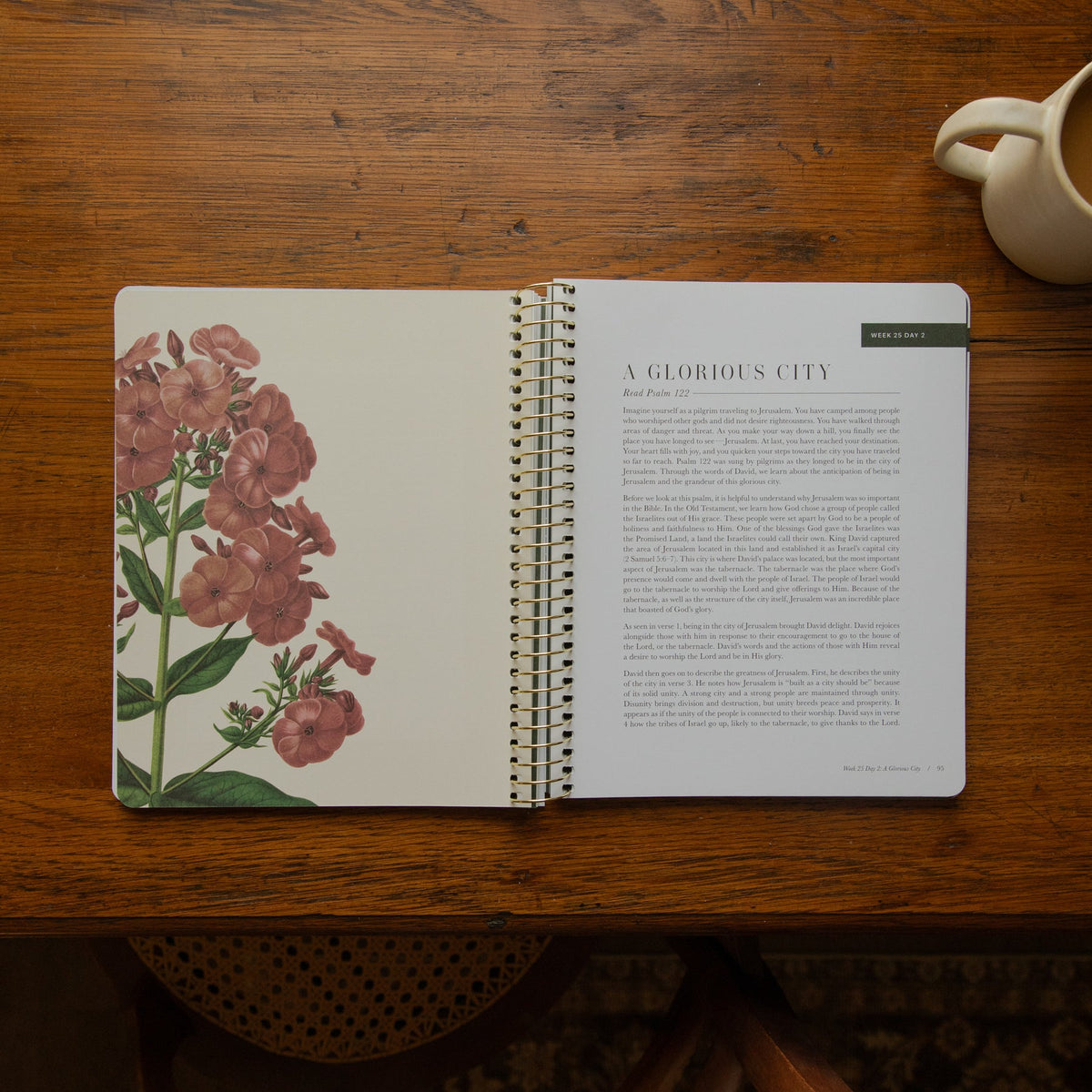 The Psalms Bible Study - Volume 3