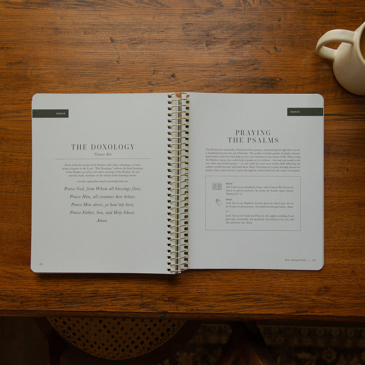The Psalms Bible Study - Volume 3