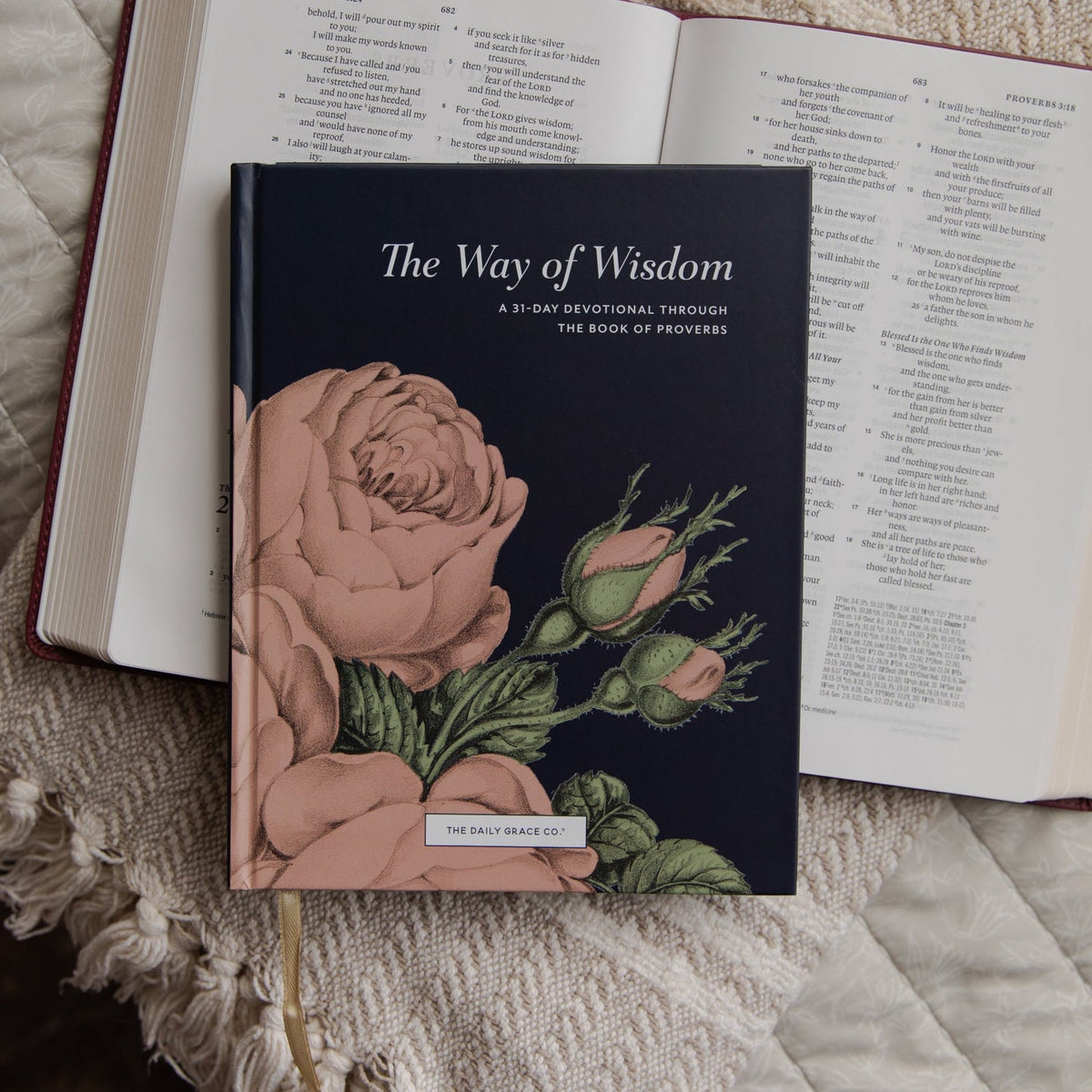 The Way of Wisdom | Proverbs Devotional