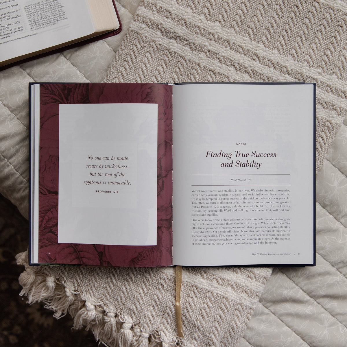 The Way of Wisdom | Proverbs Devotional