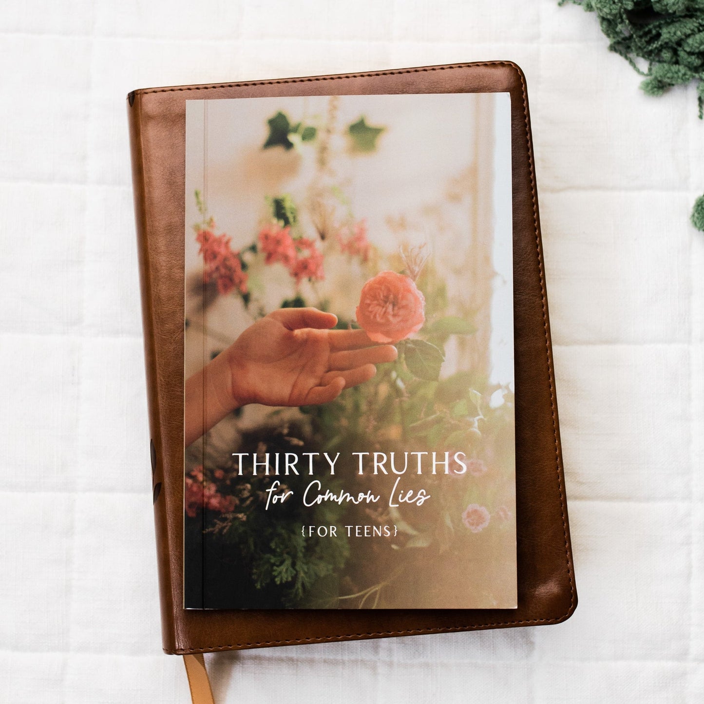 Thirty Truths for Common Lies for Teens