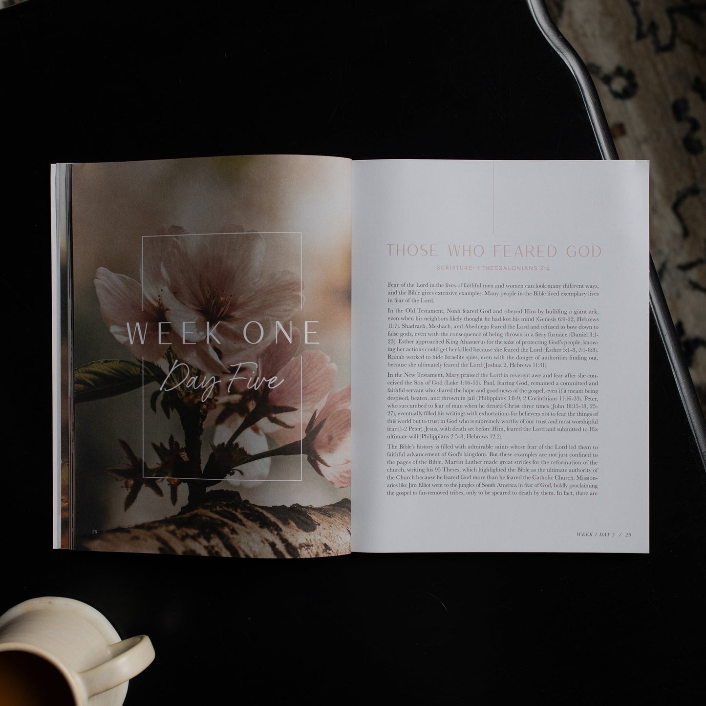 When Fear Meets Faith Bible Study