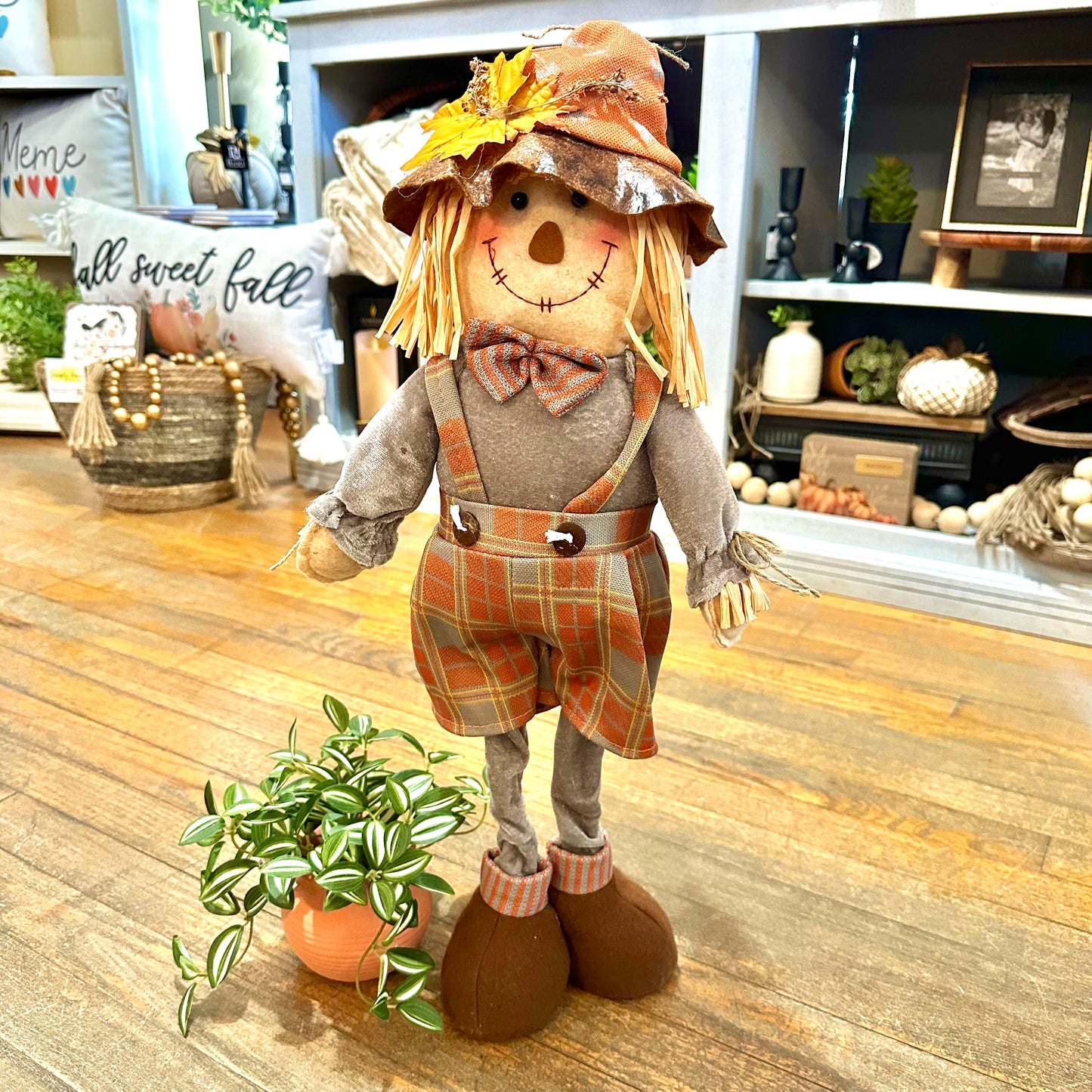 Scarecrow-2.jpeg