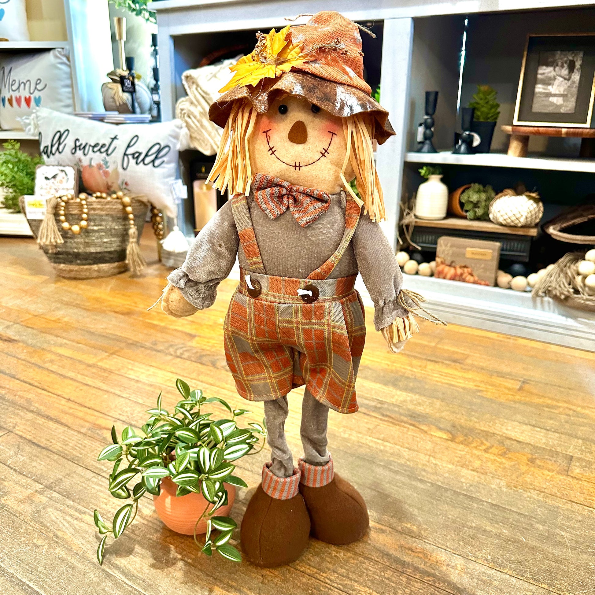 Scarecrow-2.jpeg