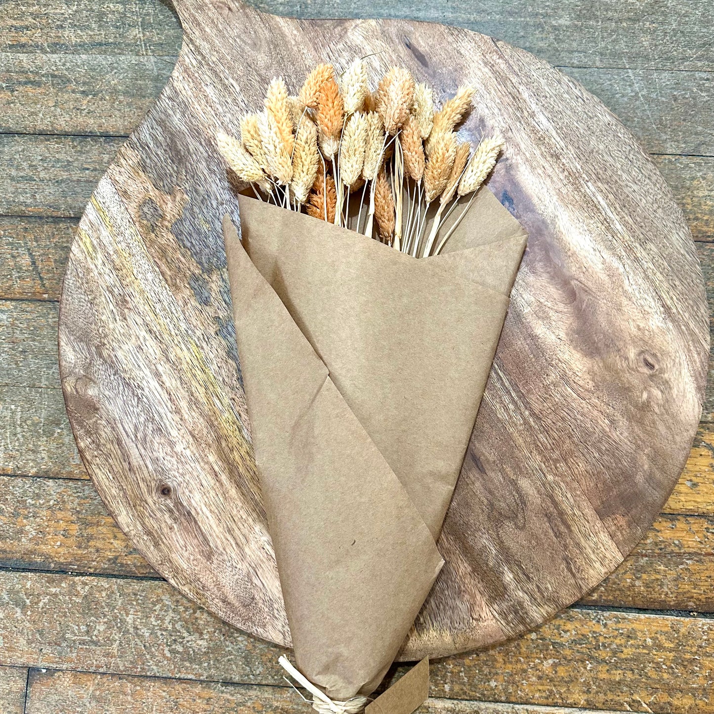Dried Canary Grass