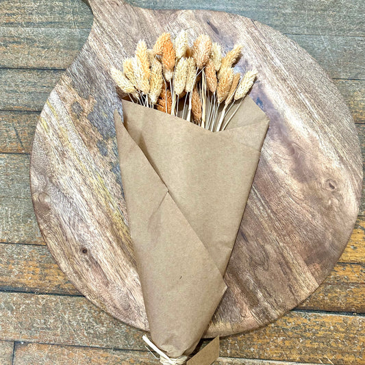 Dried Canary Grass